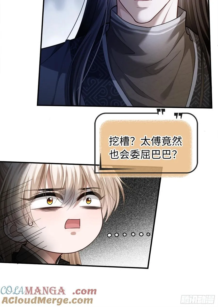 31 太傅的“可怜攻击” 第25页