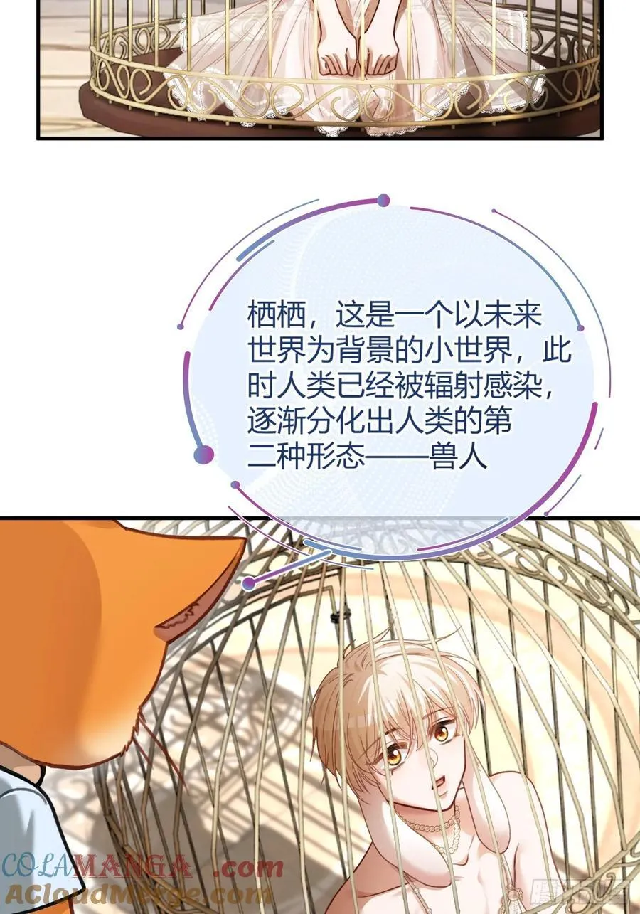 39 兔兔成了拍卖品？！ 第13页