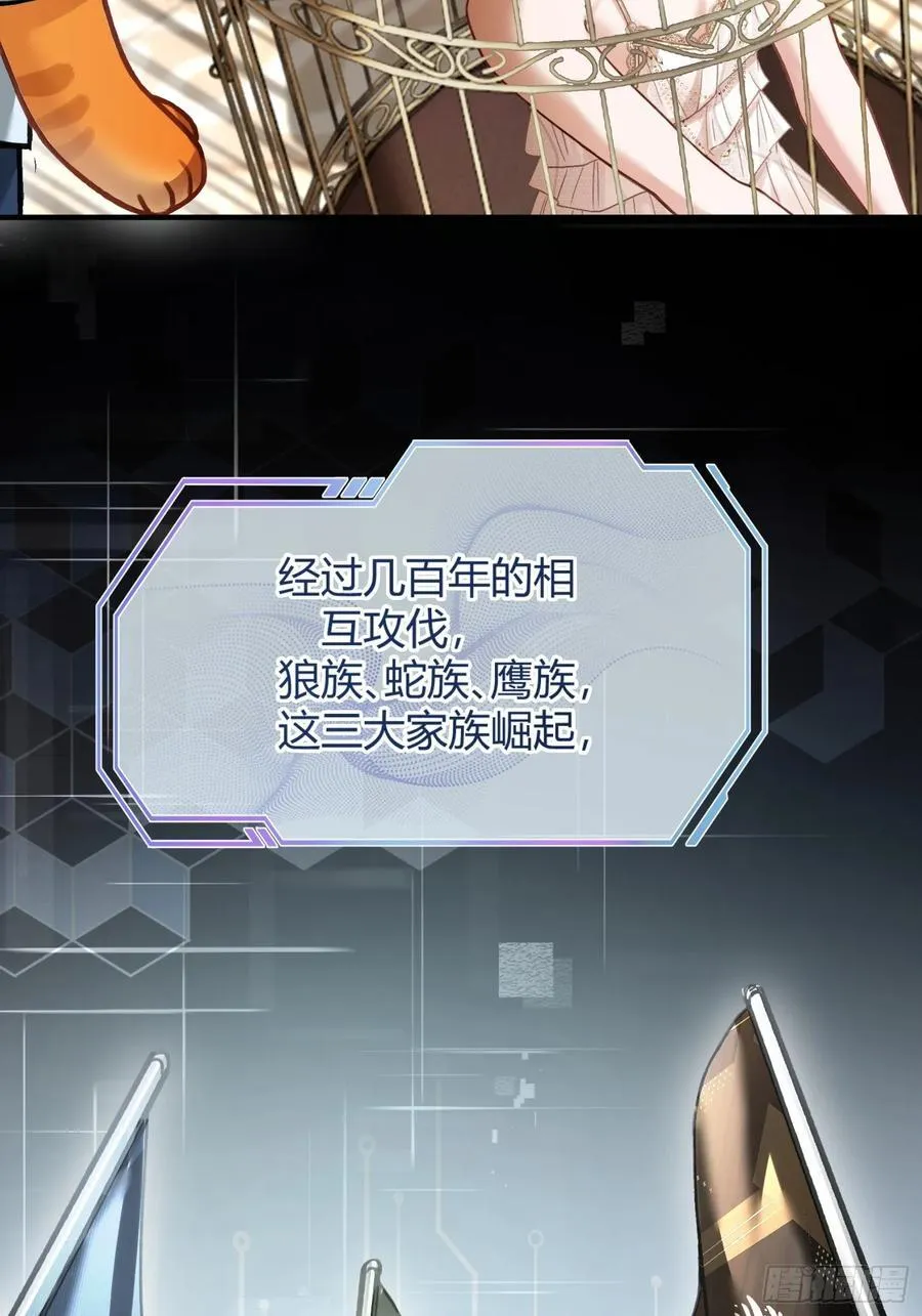 39 兔兔成了拍卖品？！ 第14页