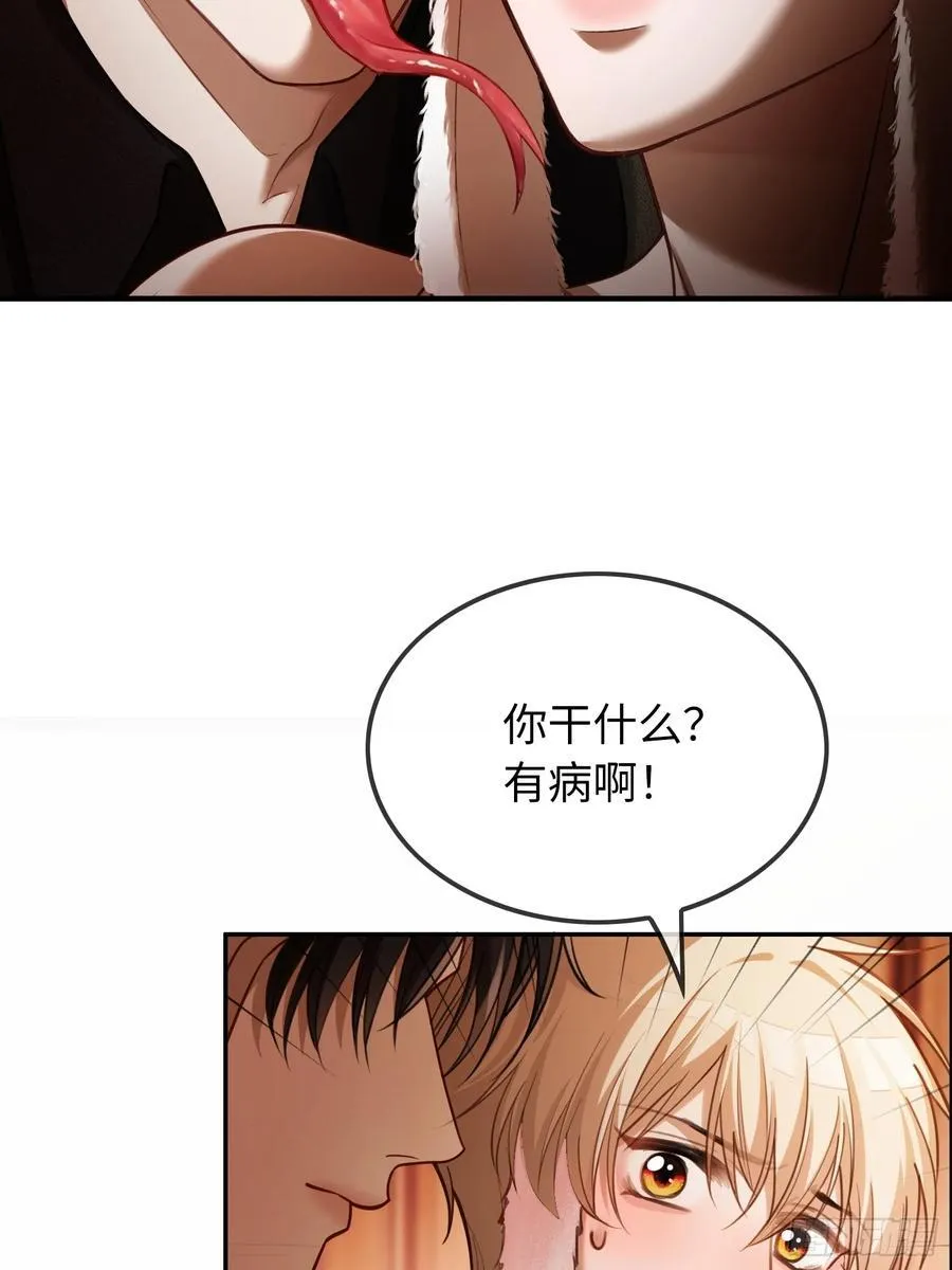 41 兔子急了也咬人 第3页