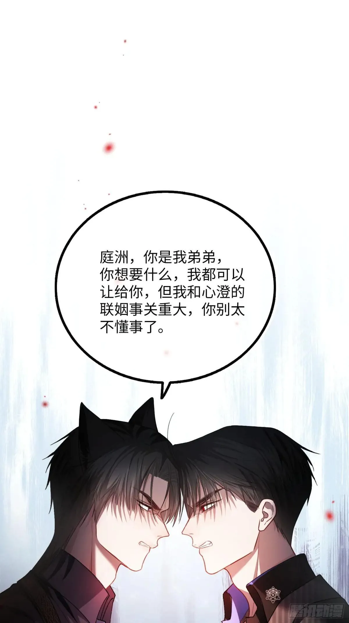 58 你们爱的究竟是谁 第15页