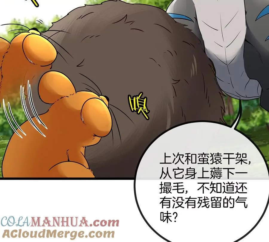 第5话 蛮猿原来是妹子 第40页