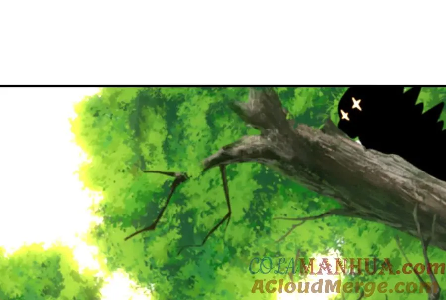 第15话 胡狼和巨懒 第33页