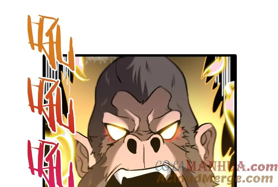 第28话 我为国家队培养种子选手 第29页