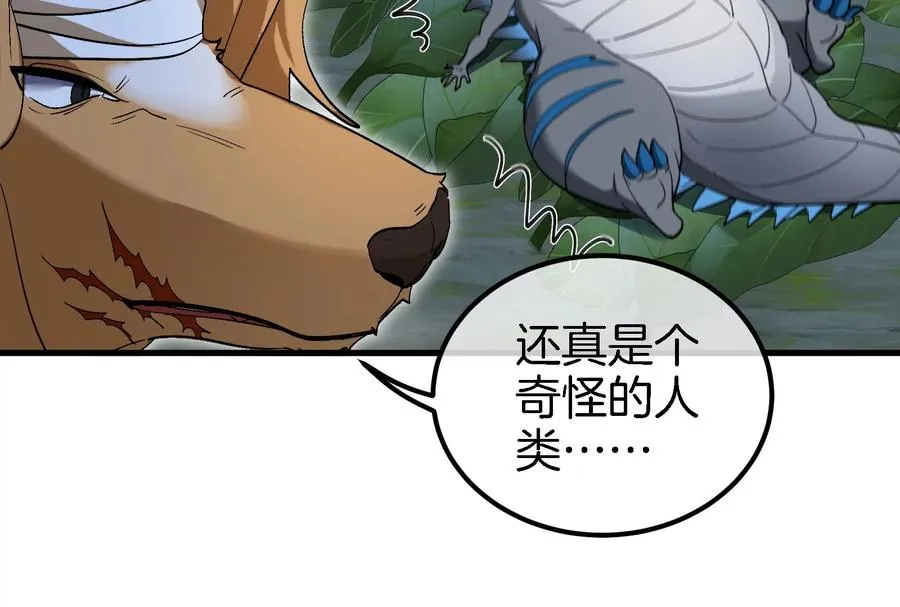 第44话 渡渡鸟骑士 第75页