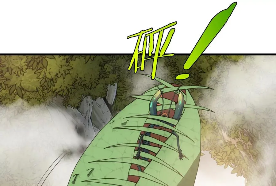 第49话 尊柏树 第6页