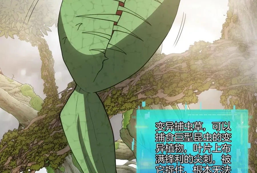 第49话 尊柏树 第7页