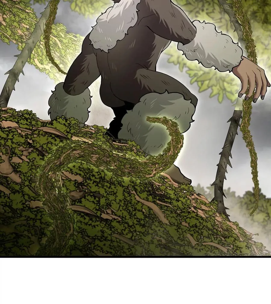 第50话 会组合拳的尊柏树 第11页