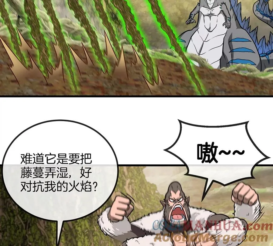 第50话 会组合拳的尊柏树 第28页