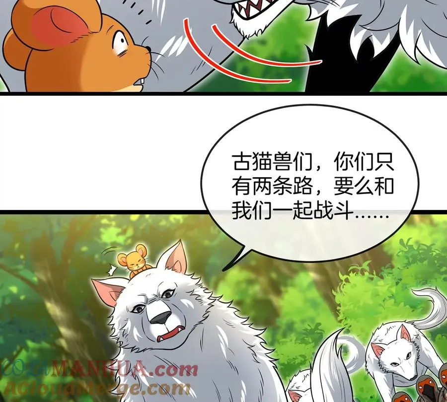 第74话 不屈的小橘子 第28页