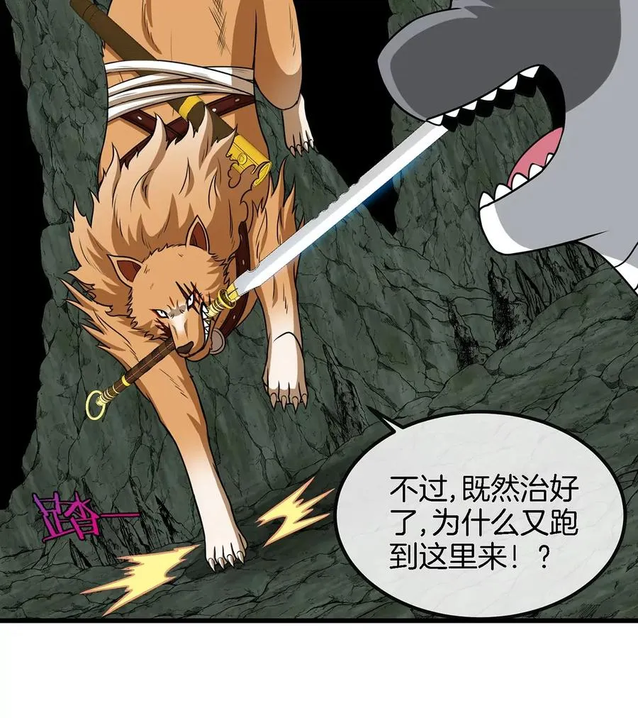 第77话 兵驰狼归来 第17页