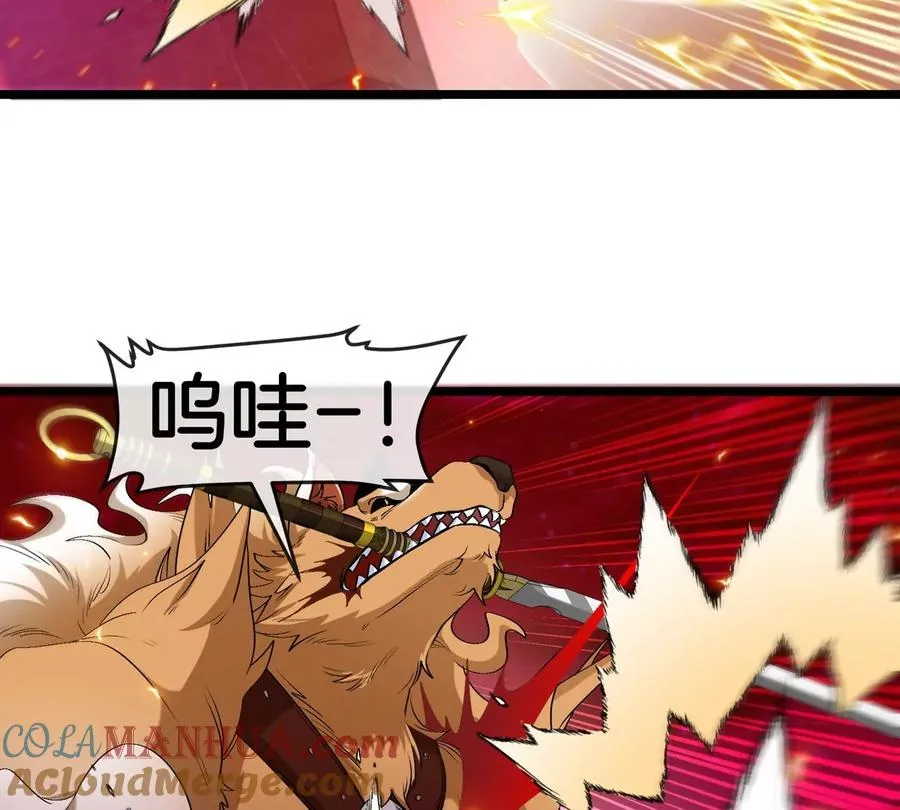 第147话 兵驰狼的坚持 第88页