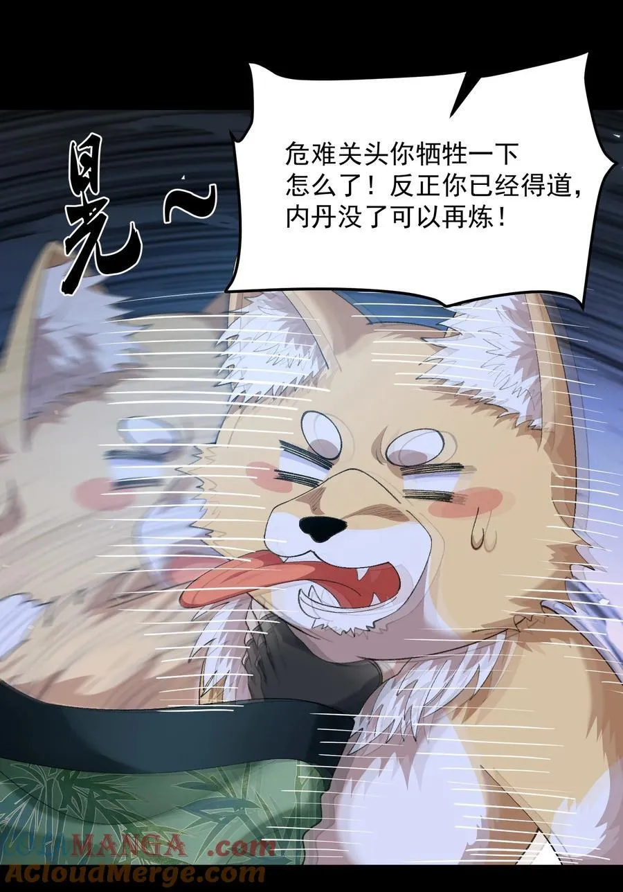 45 相亲相爱起风谷 第22页