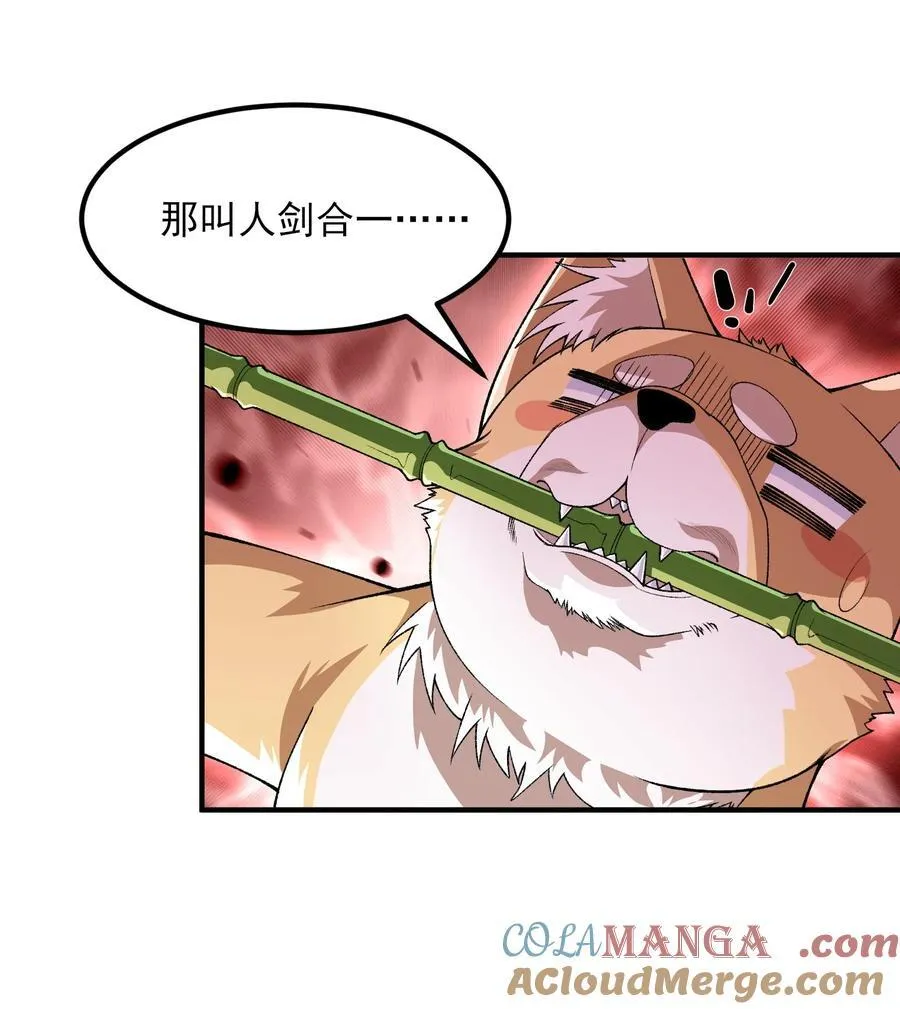 54 《Di Molto》 第31页
