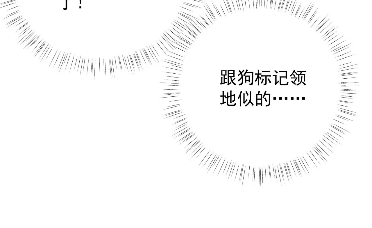 33 从来不清白 第27页