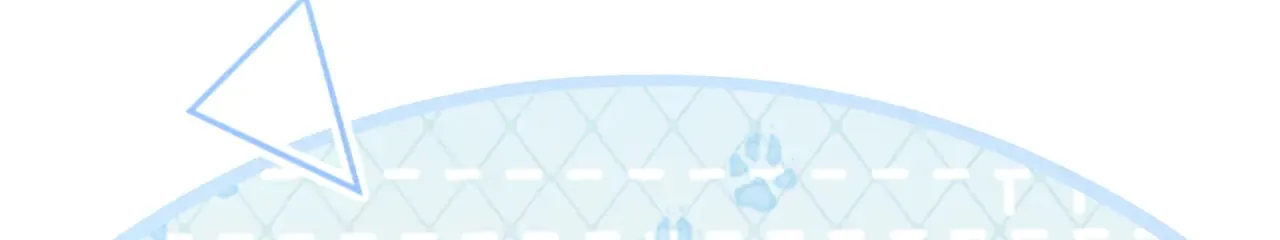 38 试图哄你 第21页