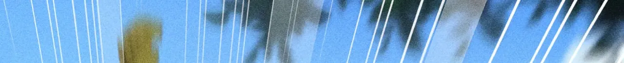 38 试图哄你 第147页