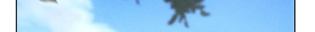 38 试图哄你 第185页