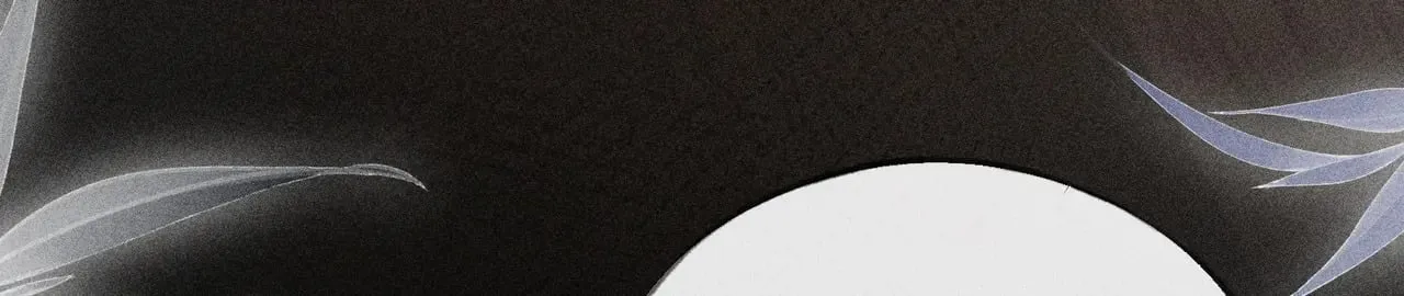 42 恶鬼行走人间？ 第65页