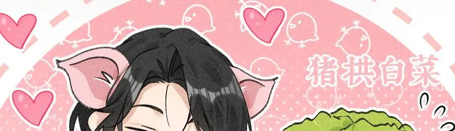 60 猪拱白菜 第11页