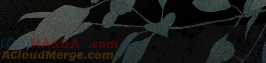 60 猪拱白菜 第65页