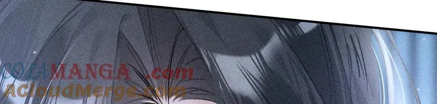 61生既同衾，死当同穴 第101页