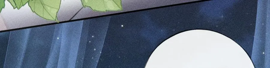 62 那试试杨梅……？ 第63页