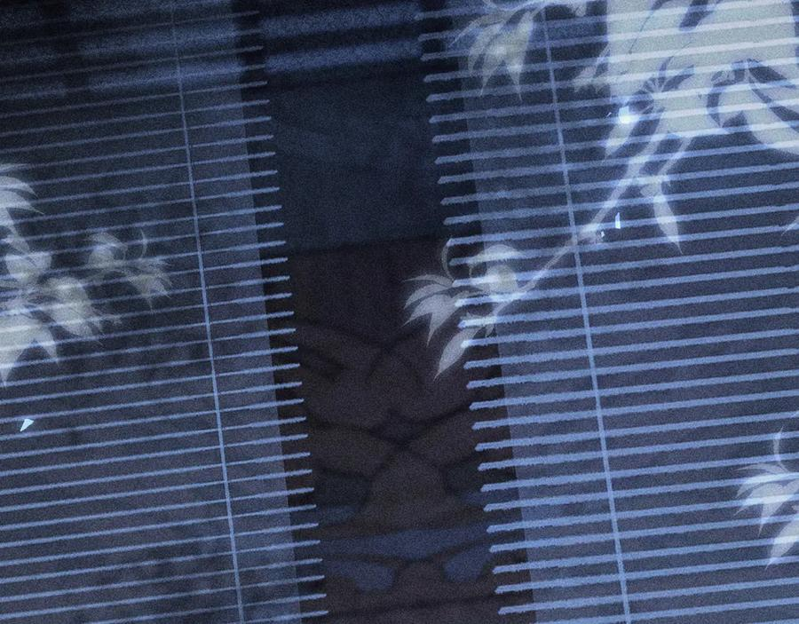77 珠玉早已在侧 第50页