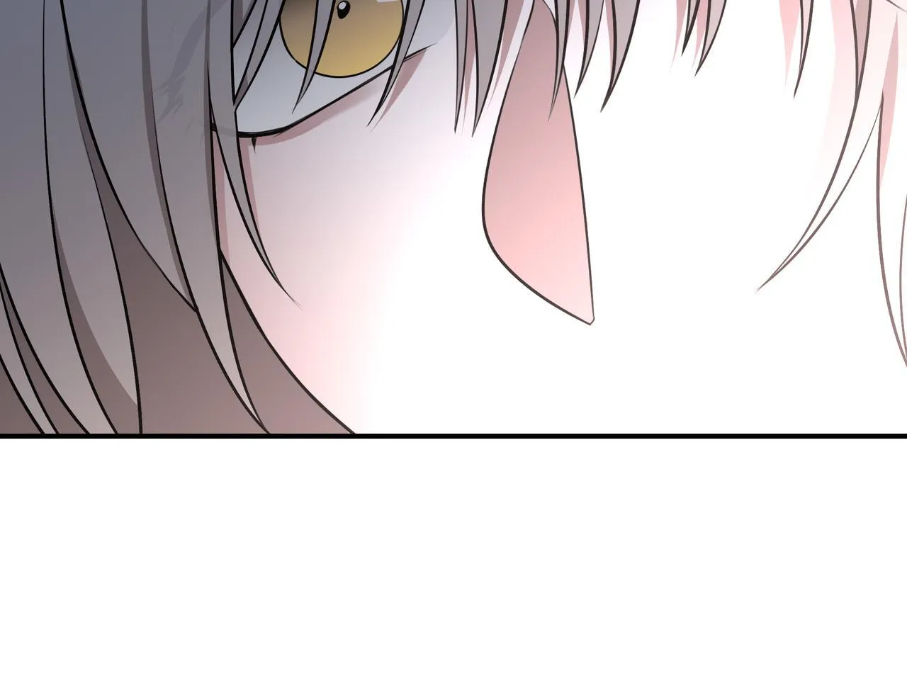 9 第69页