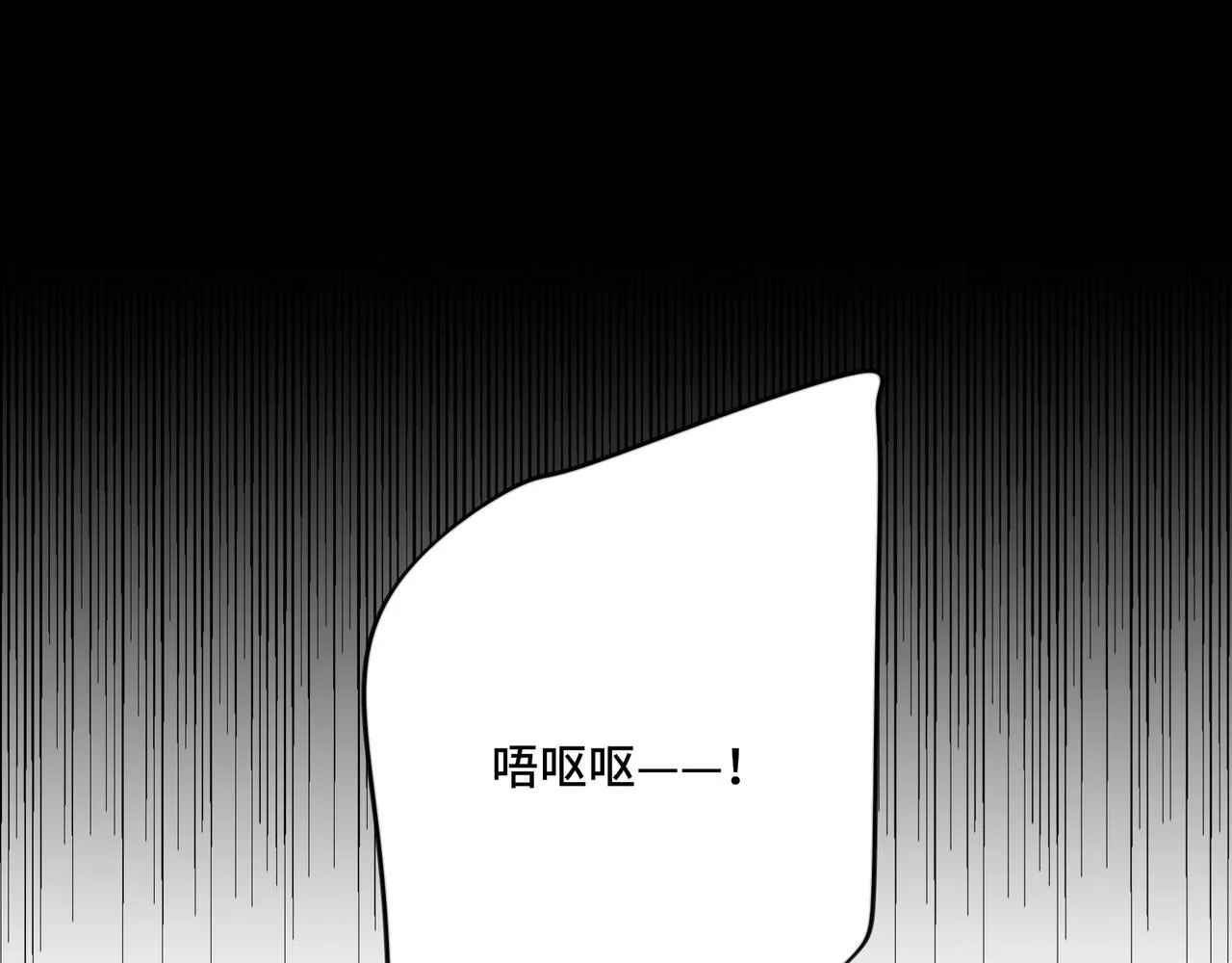 15 第42页