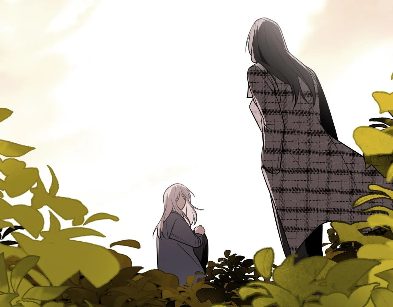 20 第11页
