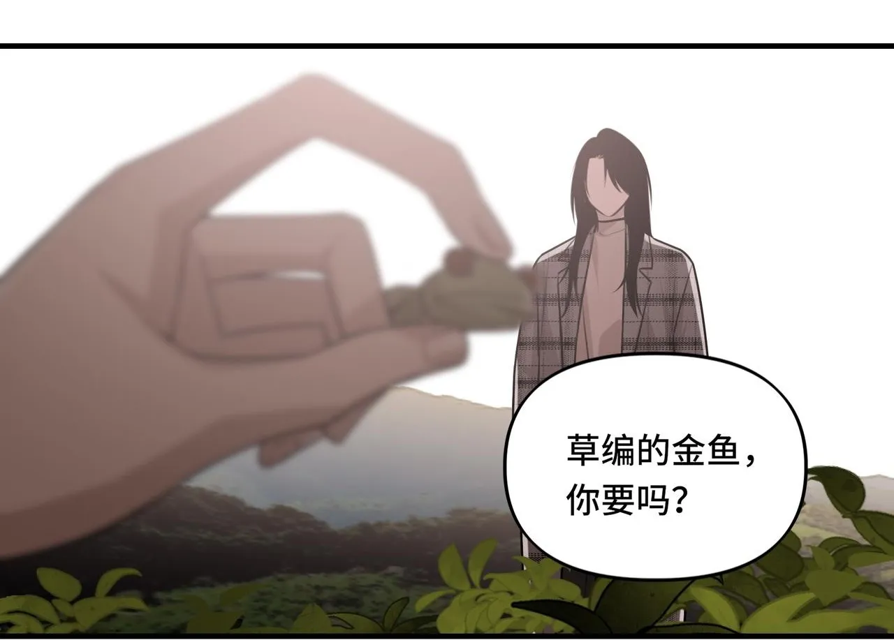 20 第13页