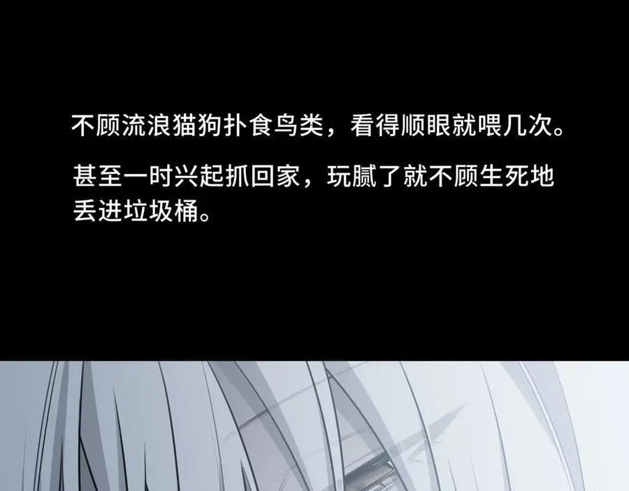23 第20页