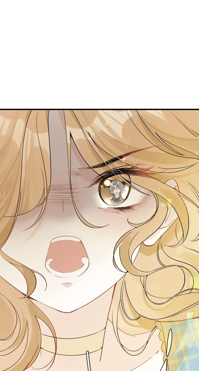 03 收养 第11页