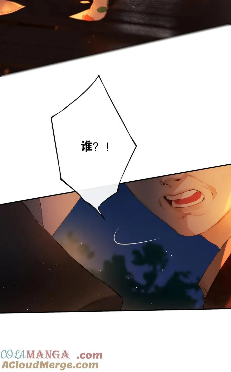013 红颜然命薄 第10页