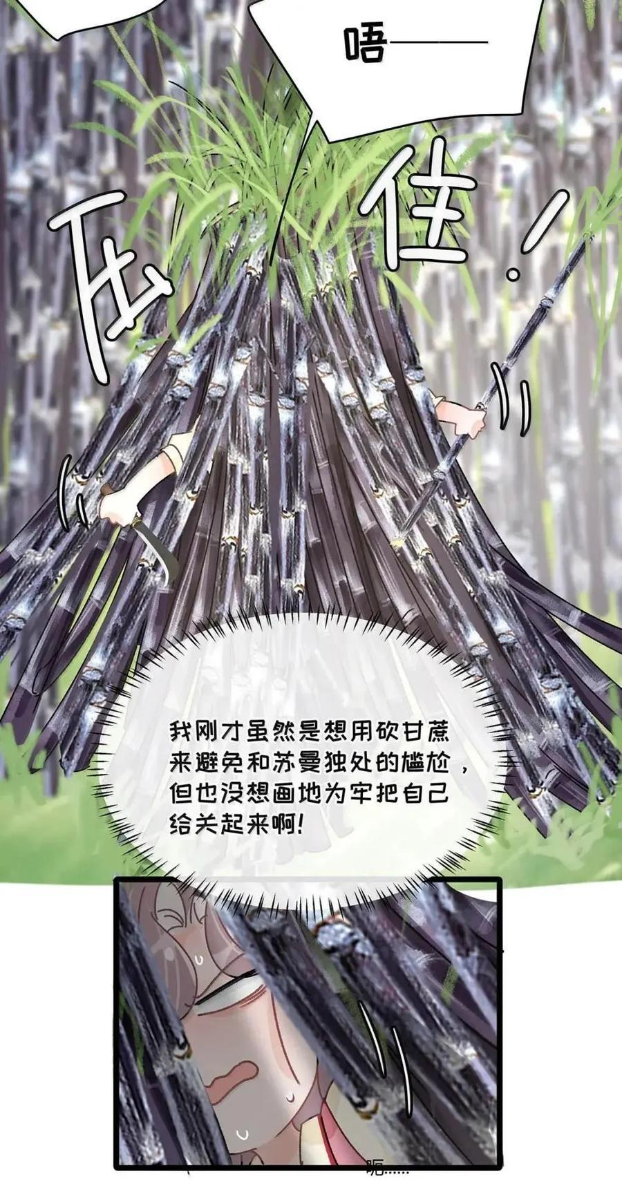 075 我对你的喜欢，从来都不是一时兴起。 第11页