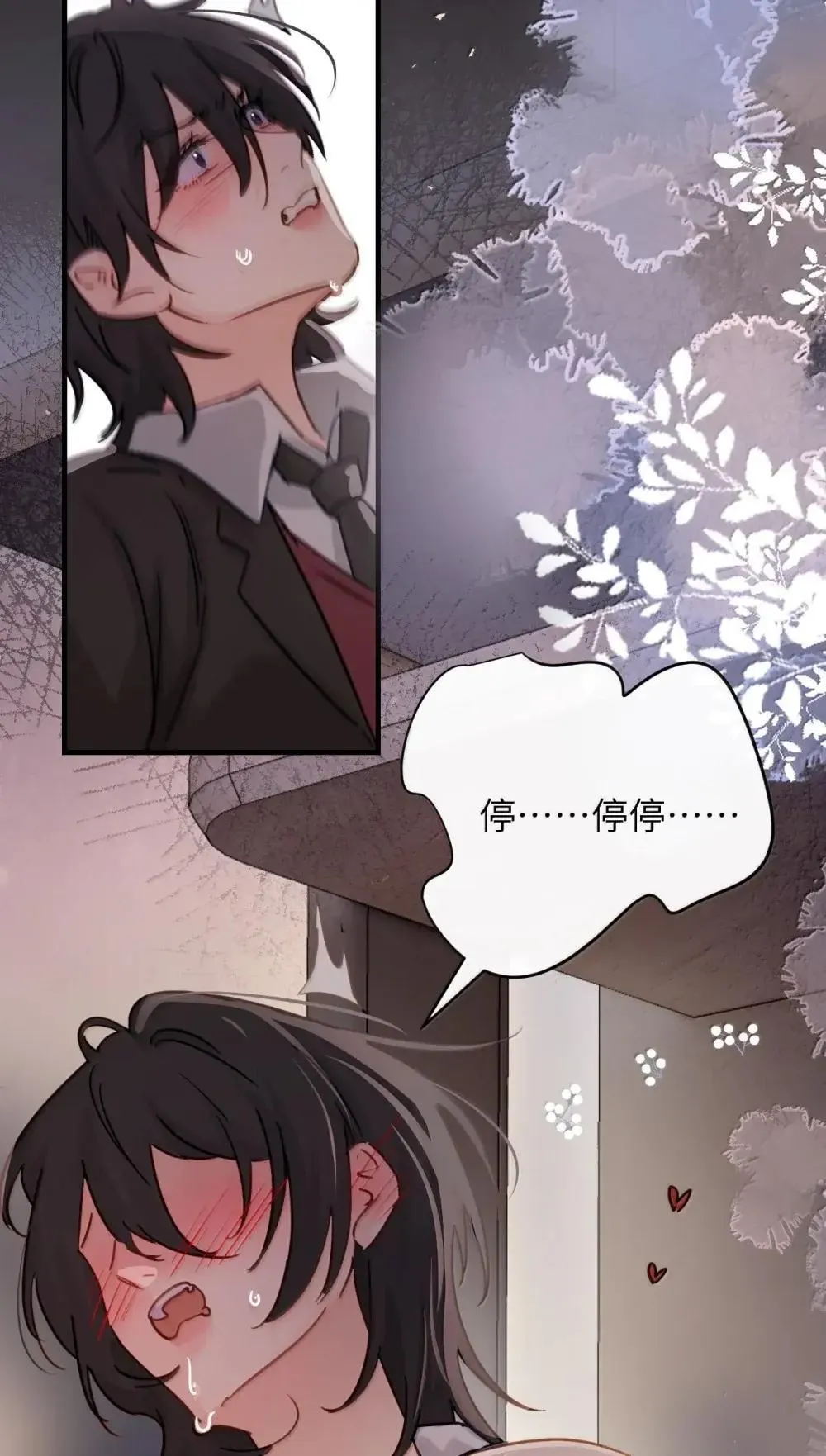 055 让本就不敢看的评论区雪上加霜 第25页