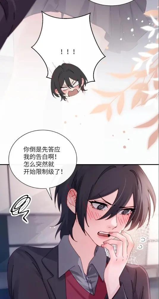080 开始同居了 第7页