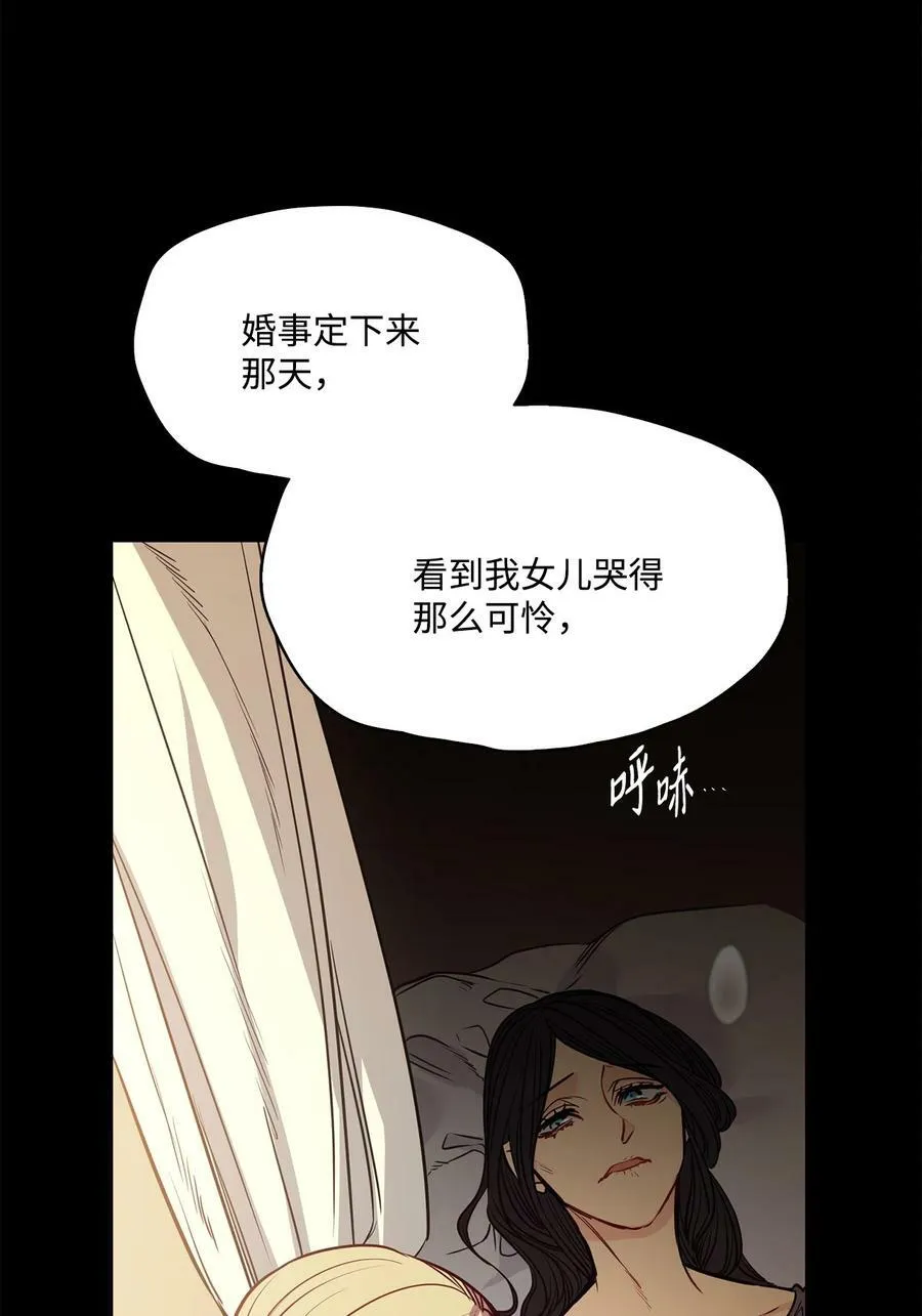 82 巨大的蜘蛛网 第71页