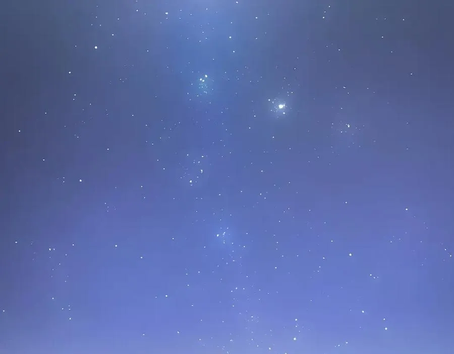 第64章 月蚀之夜 第82页