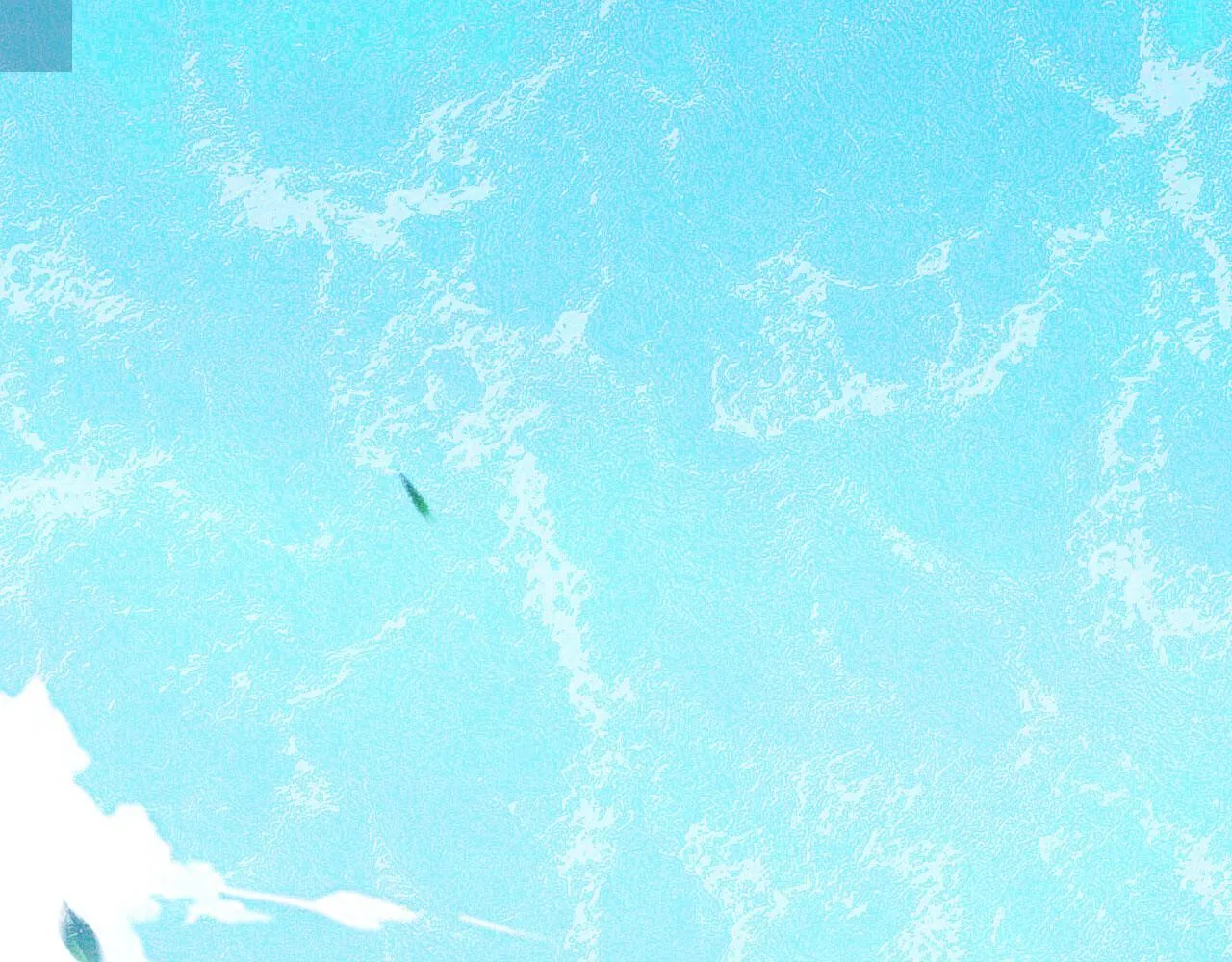 123 无尽猎杀 第26页