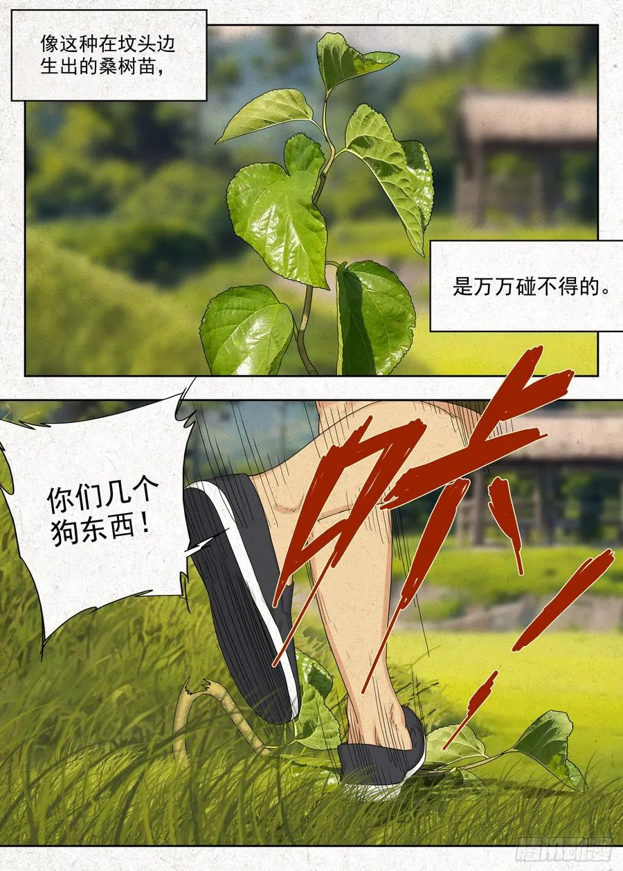 有桑 第4页