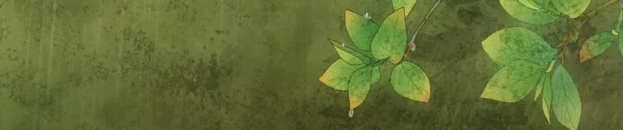 第二十三话 能记一辈子 第90页