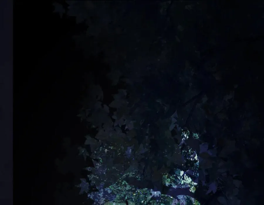 第三十六话 情深至苦 第7页