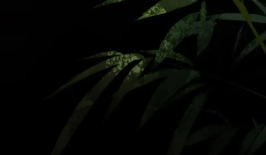 第三十六话 情深至苦 第182页