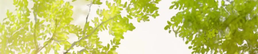 第三十七话 为国？为民？ 第199页