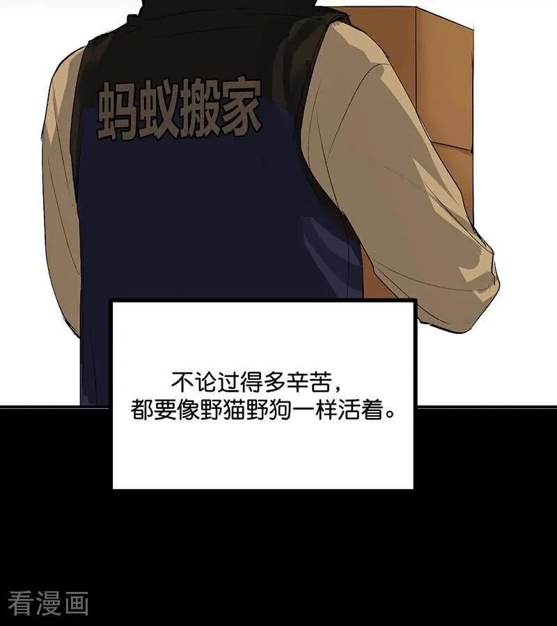 第43话 音乐之神 第14页