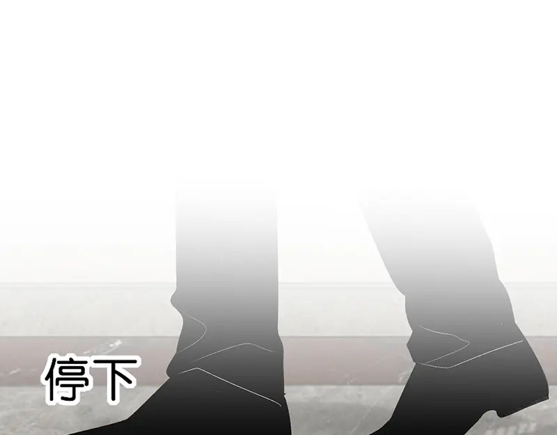 92引路之星 第146页