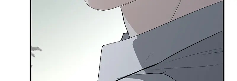 92引路之星 第226页