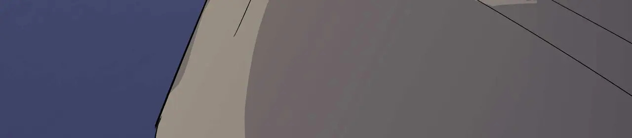 96 愿望与战书 第12页